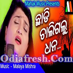 Chhadi Chaligalu Dhana (Ira Mohanty) Odia Sad Song